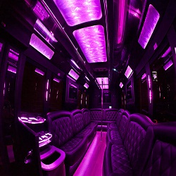 Image for Dream Limousines, Inc. with ID of: 1559189