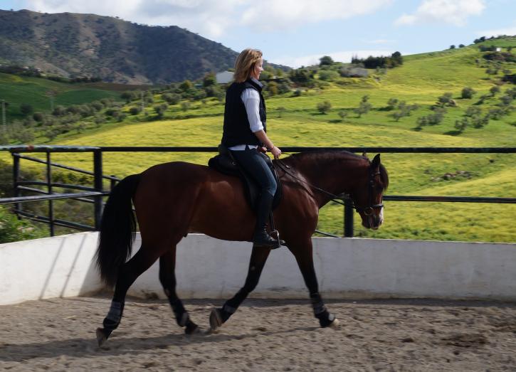 Image for Collegiate Equestrian Programs with ID of: 1559270