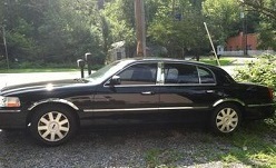 Image for Annandale Limo with ID of: 1559538