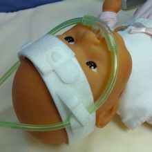 Image for Airways Development LLC with ID of: 1562911