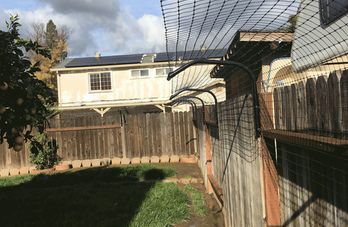 Image for Easy Pet Fence with ID of: 1563553