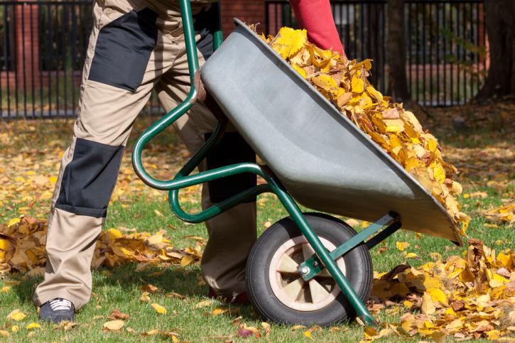 Image for PK Landscape and Snow Removal with ID of: 1564562