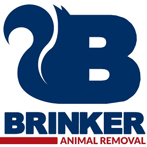 Image for Brinker Animal Removal with ID of: 1564725