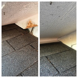 Image for Brinker Animal Removal with ID of: 1564743