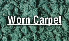 Image for OxiGreen Carpet Cleaning with ID of: 1565543