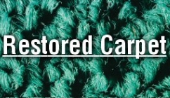 Image for OxiGreen Carpet Cleaning with ID of: 1565544