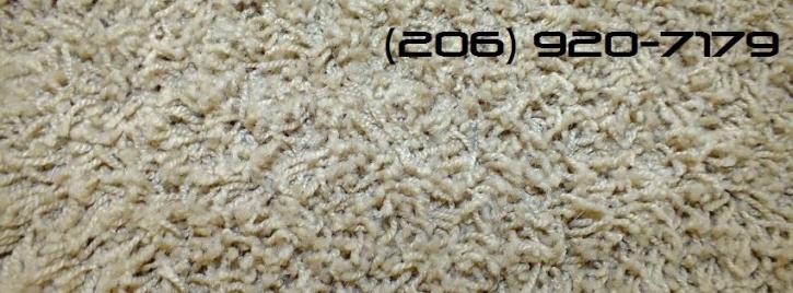 Image for Xtreme Clean Carpet Care with ID of: 1566435