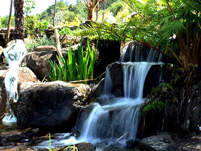 Image for Elite Irrigation Maintenance with ID of: 1567288