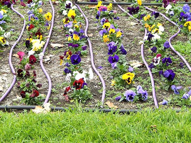 Image for Elite Irrigation Maintenance with ID of: 1567290