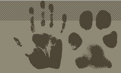 Image for Crossroads Pet Resort with ID of: 1568409