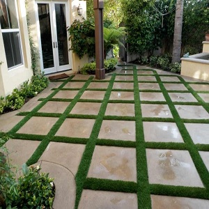 Image for Turf Masters with ID of: 1569265