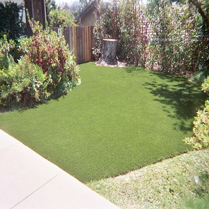 Image for Turf Masters with ID of: 1569266