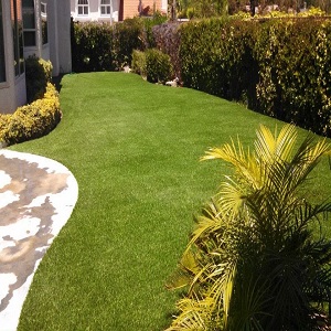 Image for Turf Masters with ID of: 1569267