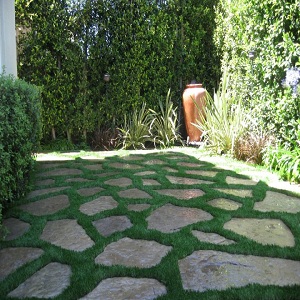 Image for Turf Masters with ID of: 1569269