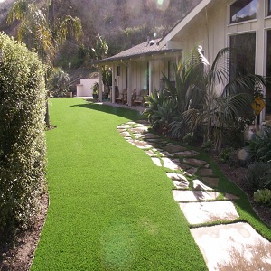 Image for Turf Masters with ID of: 1569270