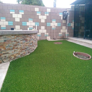 Image for Turf Masters with ID of: 1569271