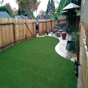 Image for Turf Masters with ID of: 1569272