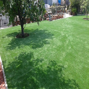 Image for Turf Masters with ID of: 1569273