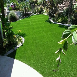 Image for Turf Masters with ID of: 1569274