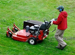 Image for We Do Lawns Orlando with ID of: 1569292
