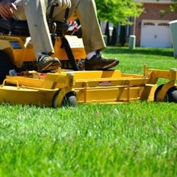 Image for We Do Lawns Orlando with ID of: 1569300