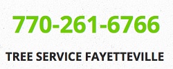 Image for Tree Service Fayetteville with ID of: 1569384