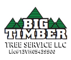 Image for Big Timber Tree Service LLC with ID of: 1569984