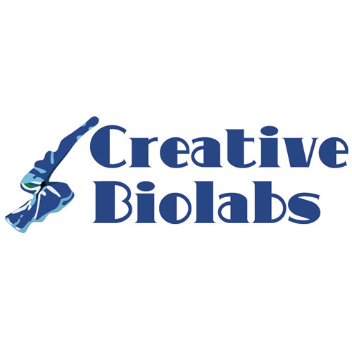 Image for epitope analysis with ID of: 1571883