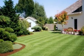 Image for Zing Idaho with ID of: 1575344