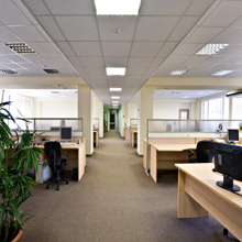 Image for Shields Clean with ID of: 1575428