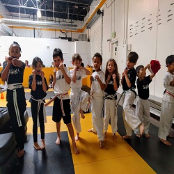 Image for United States Karate Academy with ID of: 1575439