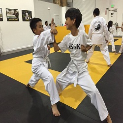 Image for United States Karate Academy with ID of: 1575444