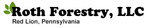 Image for Roth Forestry LLC with ID of: 1575812