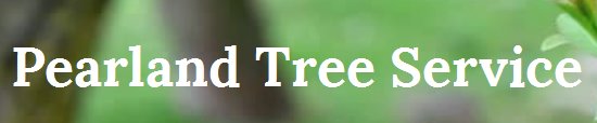 Image for Pearland Tree Service with ID of: 1575990