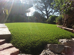 Image for Quality Synthetic Turf with ID of: 1576893