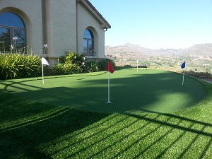 Image for Quality Synthetic Turf with ID of: 1576897