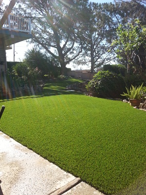 Image for Quality Synthetic Turf with ID of: 1576904