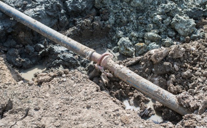 Image for Rooter Flow, LLC with ID of: 1577166