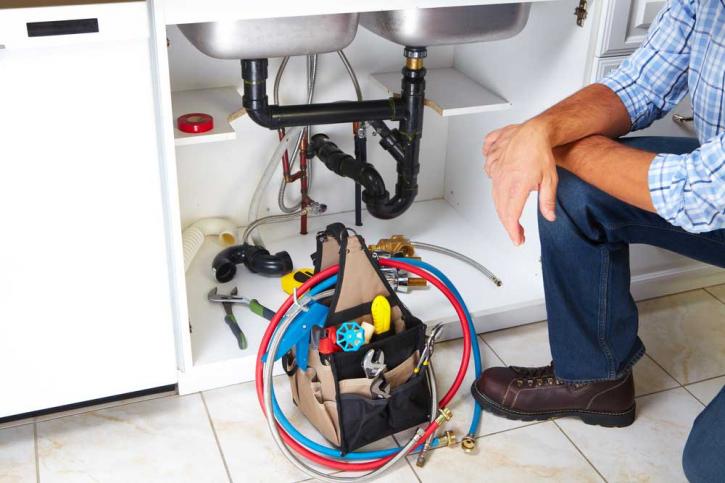 Image for Rooter Flow, LLC with ID of: 1577168