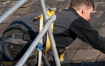 Image for Rekroofing with ID of: 1577318