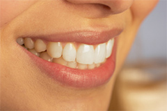 Image for Daniel Savini DDS with ID of: 1577731