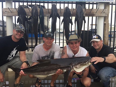 Image for Fin Factor Charters with ID of: 1580274
