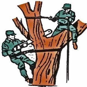Image for JFL Tree Service with ID of: 1581115