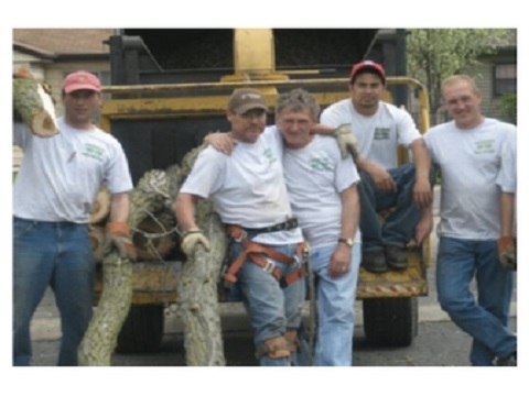 Image for JFL Tree Service with ID of: 1581126