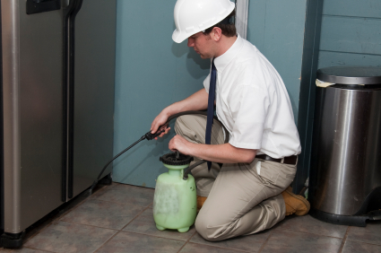 Image for Varsity Termite and Pest Control LLC with ID of: 1581368
