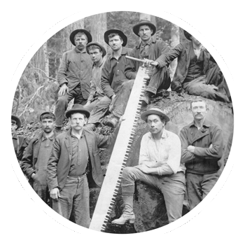 Image for WHIPSAW Media with ID of: 1582339