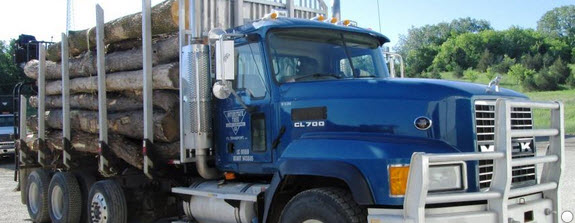Image for Interstate Tree Land Clearing Co with ID of: 1582471