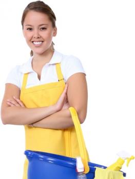 Image for Happy Maid Service with ID of: 1582542