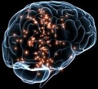Image for Deep Brain Stimulation Market to Surpass US$ 1.4 Billion by - 2024 with ID of: 1582943