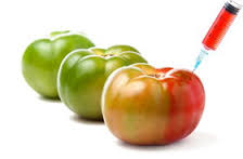 Image for Genetically Modified Organisms Market expected to show steady growth by 2020 with ID of: 1583627